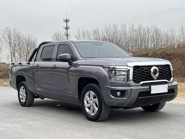 Фото 3 - Great Wall King Kong Poer