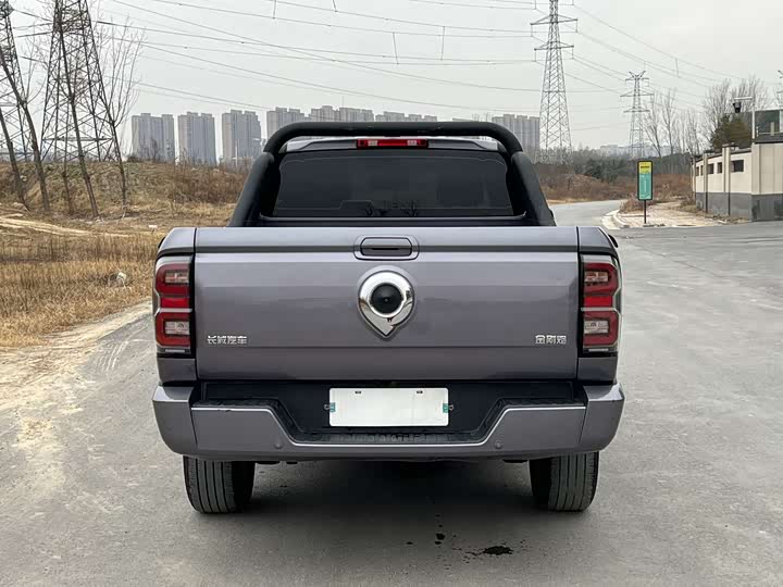 Фото 6 - Great Wall King Kong Poer