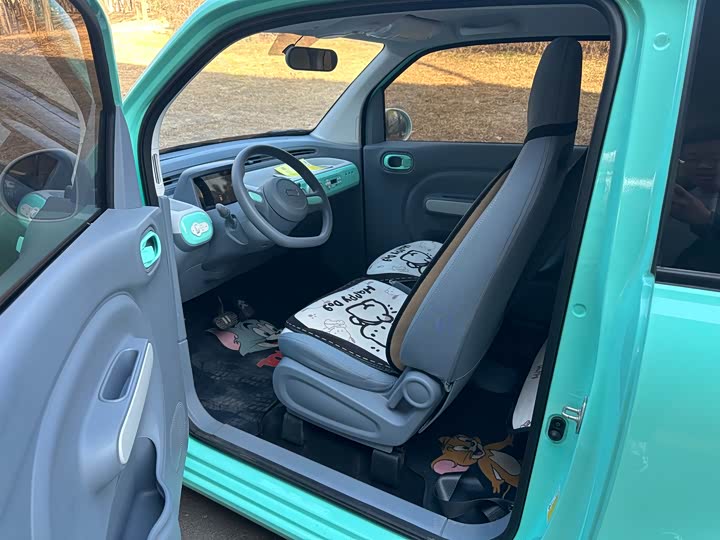 Фото 5 - Bestune Pony