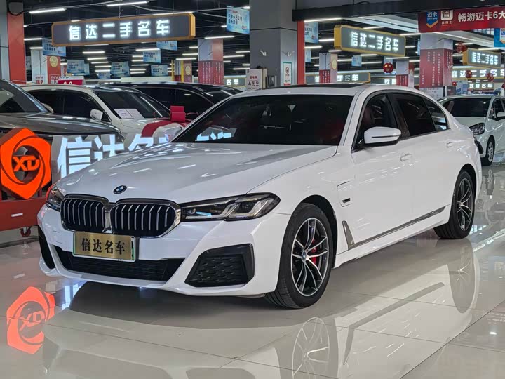 Фото 1 - BMW 5 Series Hybrid