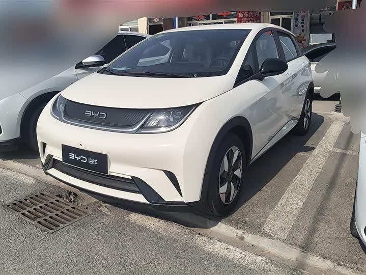 Фото 1 - BYD Dolphin