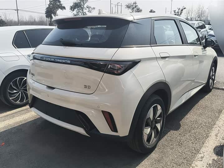 Фото 3 - BYD Dolphin