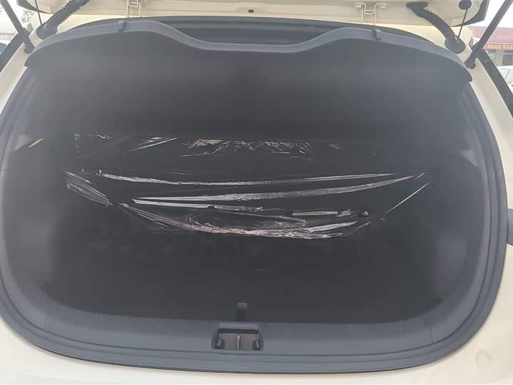 Фото 4 - BYD Dolphin