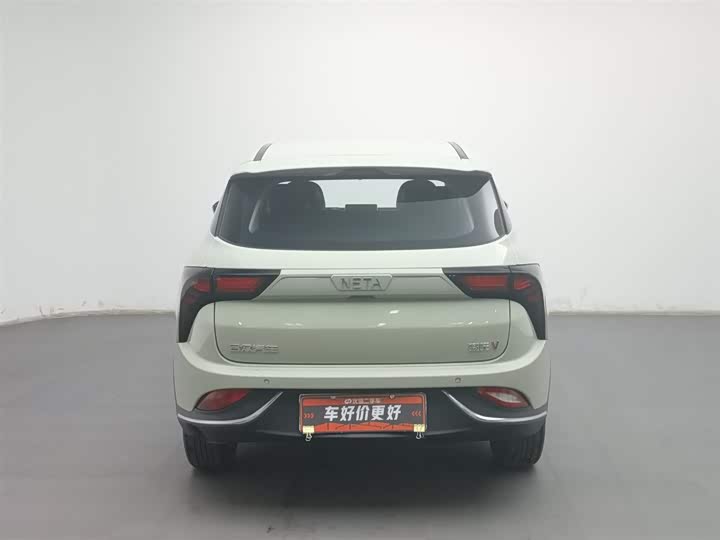 Фото 4 - Hozon V