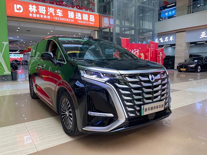 Фото 3 - Denza D9