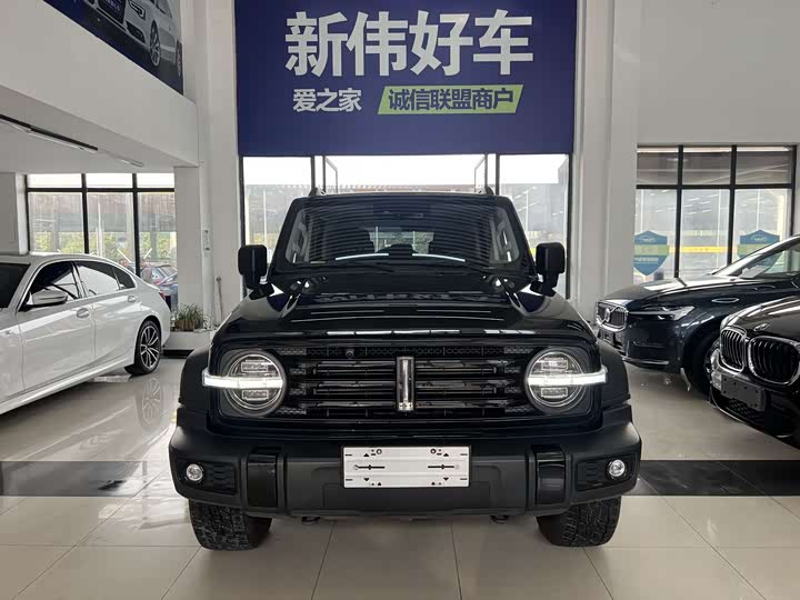 Фото 2 - Tank 300