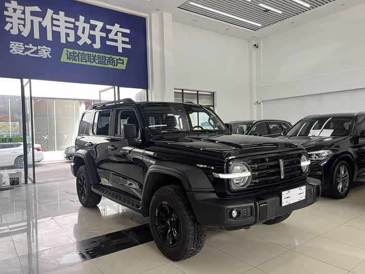 Фото 3 - Tank 300