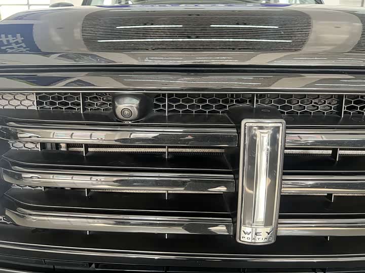 Фото 5 - Tank 300