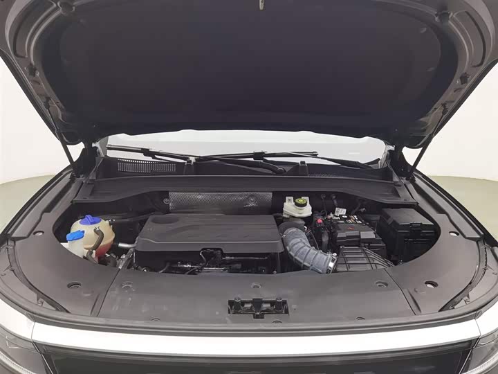 Фото 6 - Exeed RX