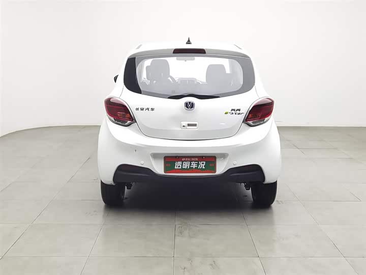 Фото 4 - Changan BenBen E-Star