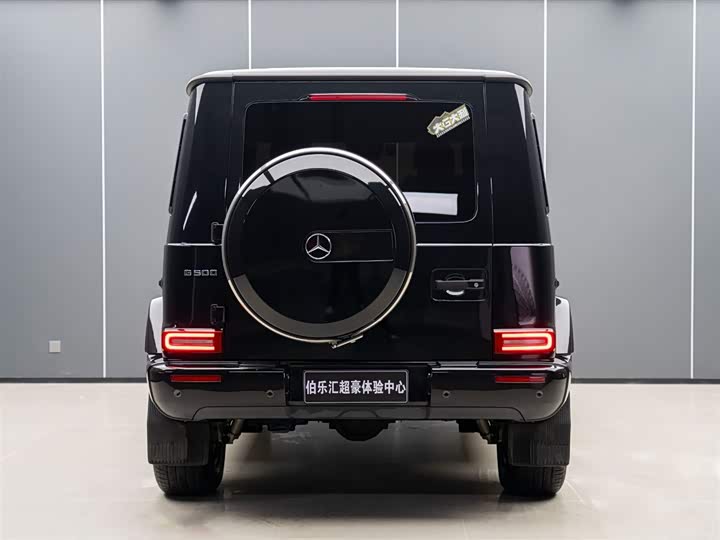 Фото 5 - Mercedes-Benz G-Class