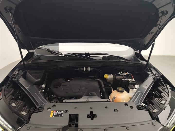 Фото 6 - Roewe RX5