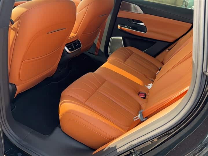 Фото 6 - XPeng G9