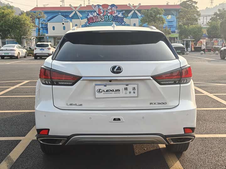 Фото 4 - Lexus RX