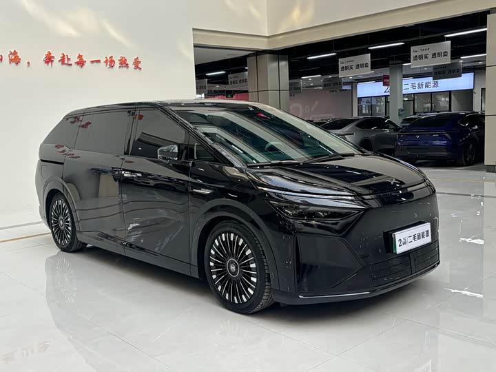 Фото 3 - XPeng X9