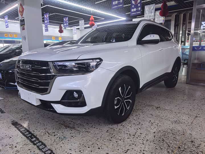 Фото 1 - Haval H6