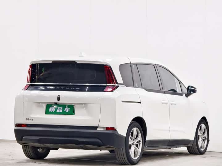 Фото 4 - Bestune NAT