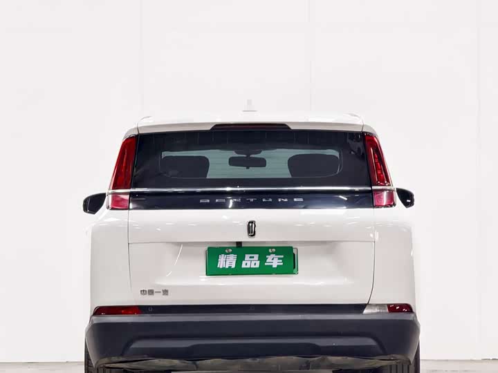 Фото 5 - Bestune NAT