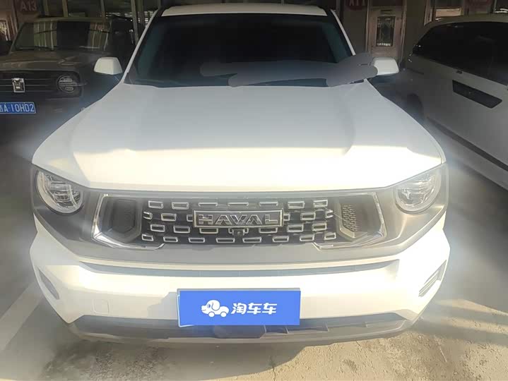 Фото 2 - Haval H-Dog