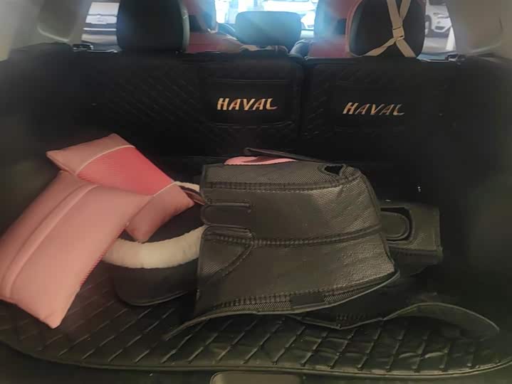 Фото 4 - Haval H-Dog