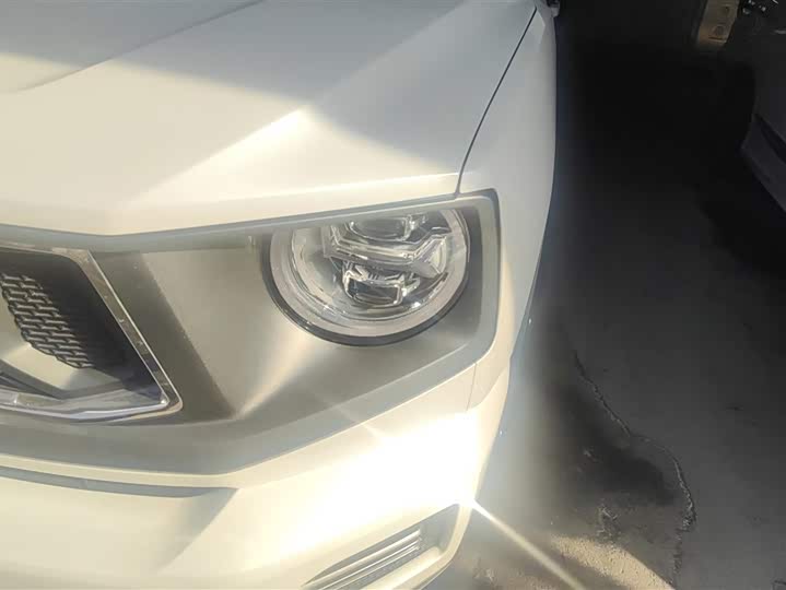 Фото 5 - Haval H-Dog