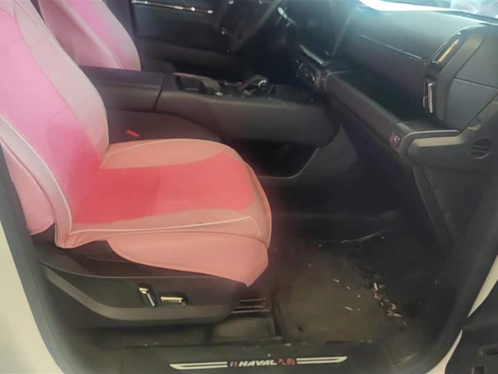 Фото 8 - Haval H-Dog