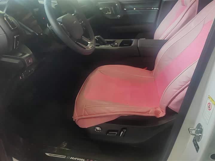 Фото 9 - Haval H-Dog