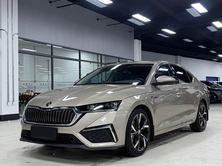 Фото 1 - Skoda Octavia Pro