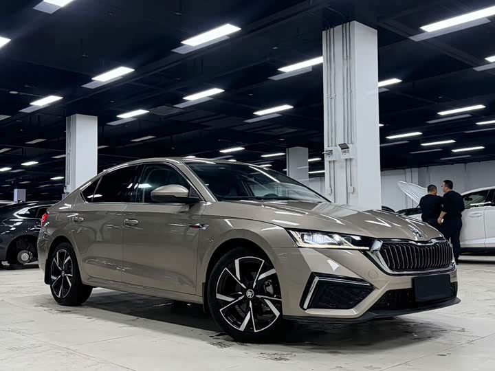 Фото 2 - Skoda Octavia Pro