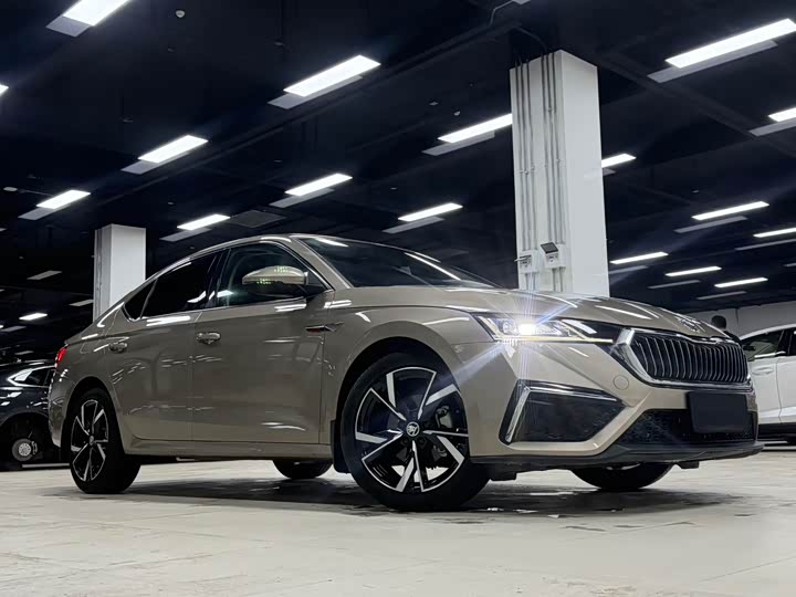 Фото 3 - Skoda Octavia Pro