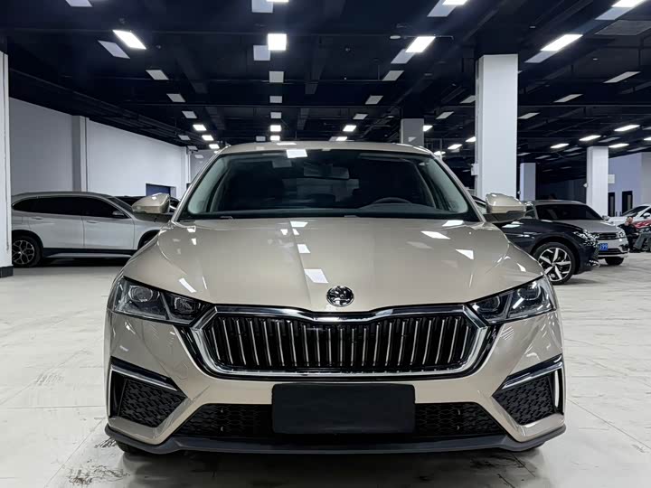 Фото 5 - Skoda Octavia Pro