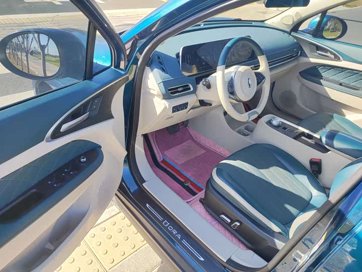 Фото 4 - Ora Good Cat (03)