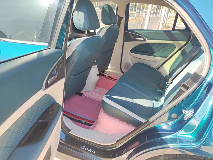 Фото 6 - Ora Good Cat (03)