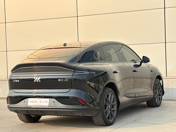 Фото 6 - IM motors LS6