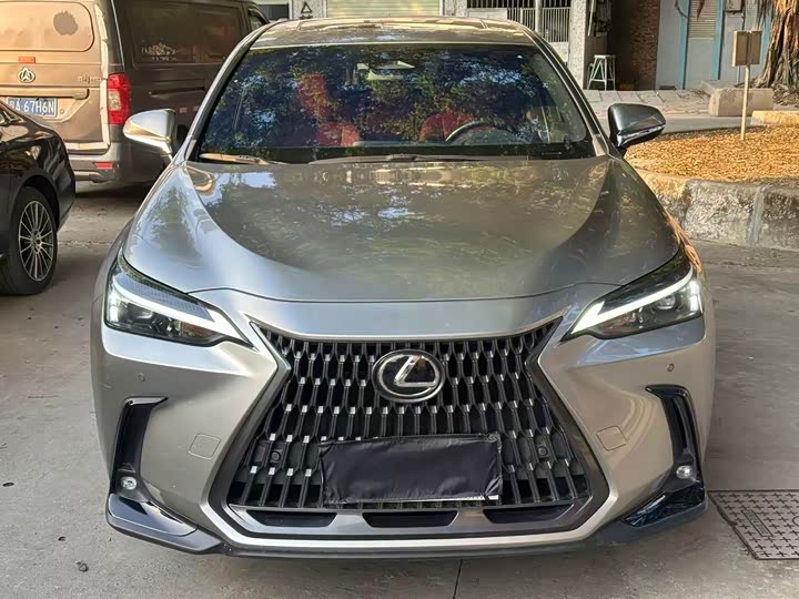 Фото 1 - Lexus NX