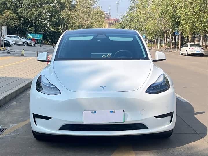 Фото 1 - Tesla Model Y