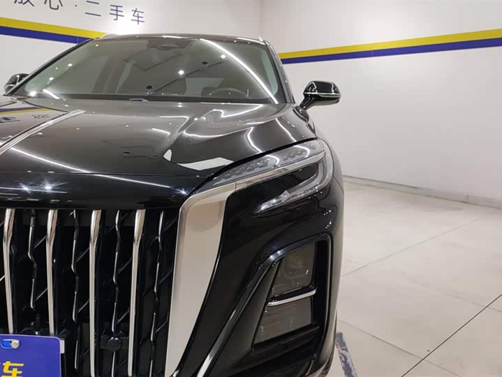 Фото 5 - Hongqi HS3