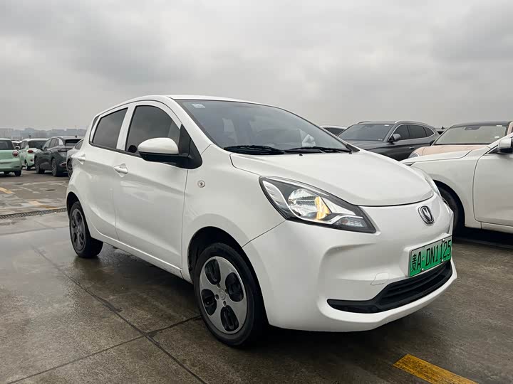 Фото 3 - Changan BenBen E-Star