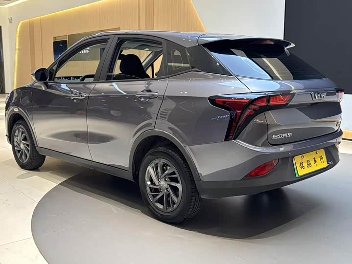 Фото 4 - Hozon V