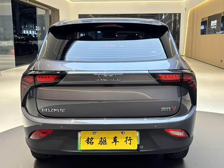 Фото 5 - Hozon V