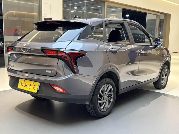 Фото 7 - Hozon V