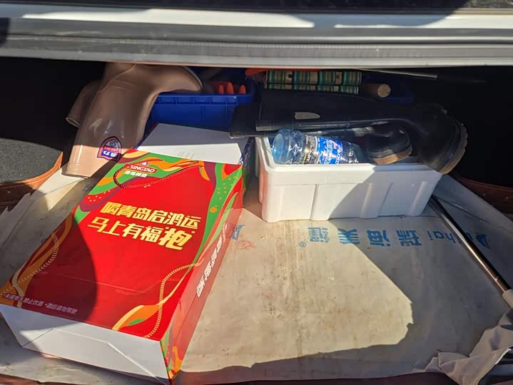 Фото 4 - Changan Raeton Plus