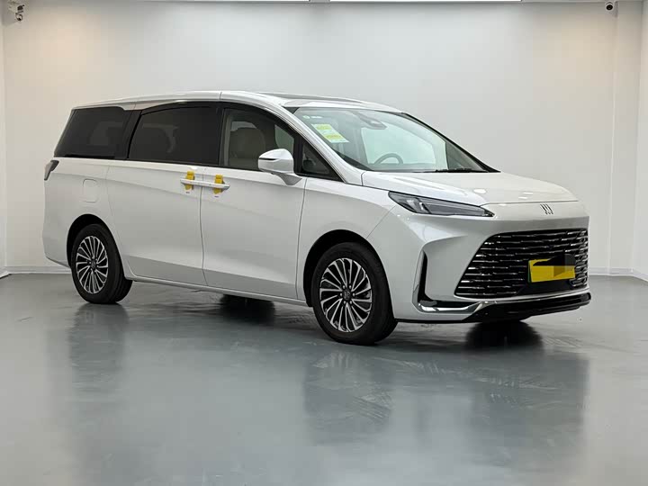 Фото 3 - Buick GL8 Hybrid