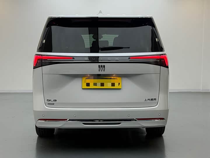 Фото 5 - Buick GL8 Hybrid