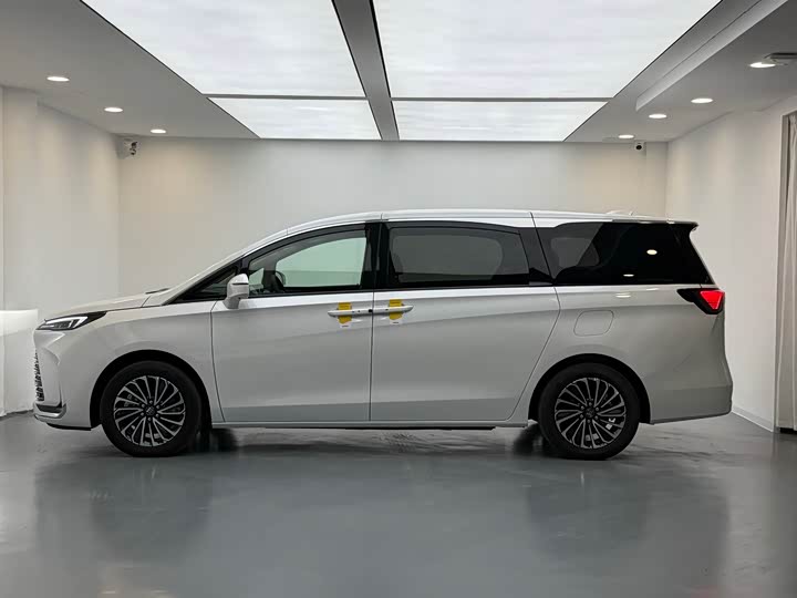 Фото 9 - Buick GL8 Hybrid