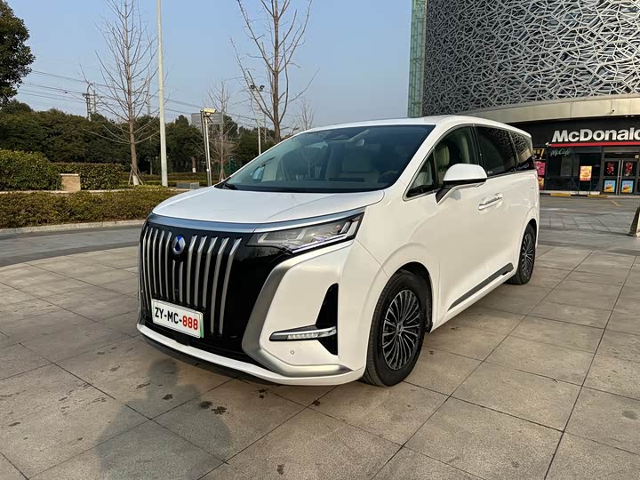 Фото 1 - Denza D9