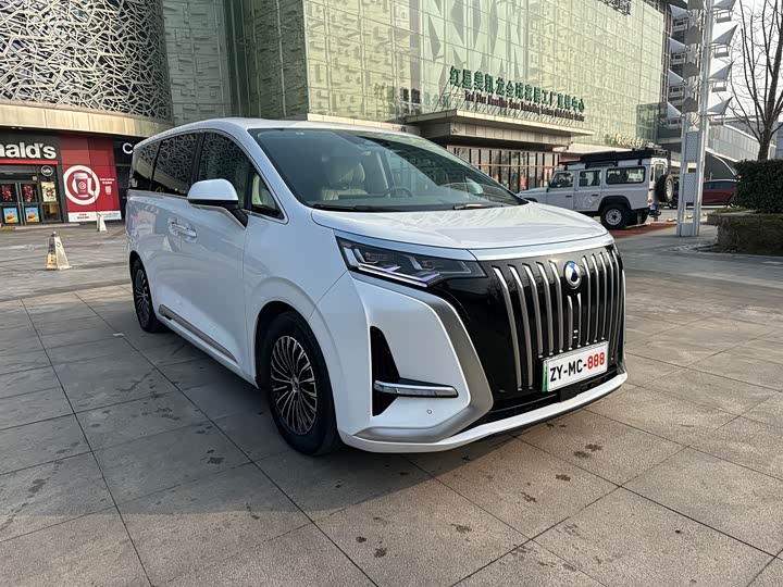 Фото 3 - Denza D9