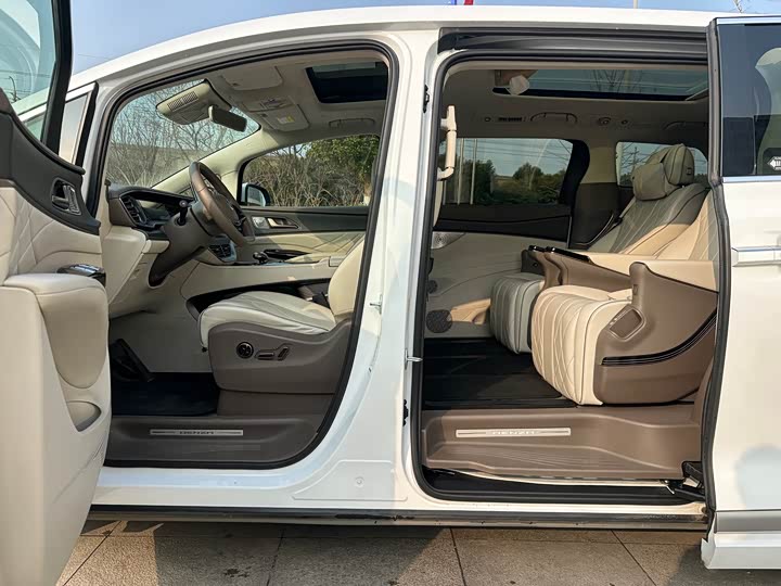 Фото 6 - Denza D9