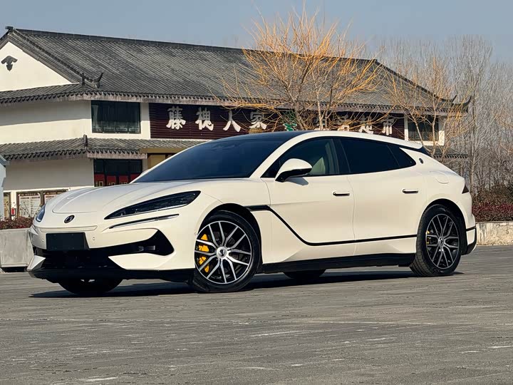 Фото 1 - Denza Z9GT