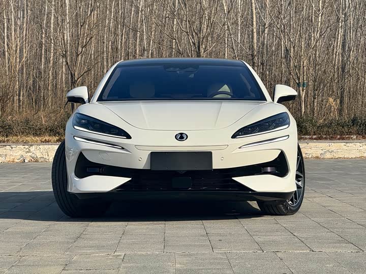 Фото 2 - Denza Z9GT